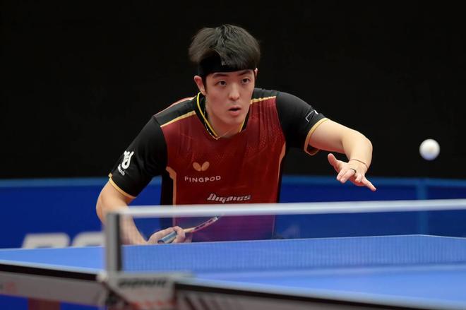 这类行为将 这类行为将