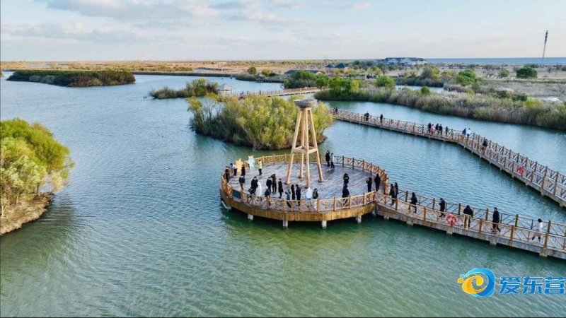 巴萨主教练 巴萨主教练